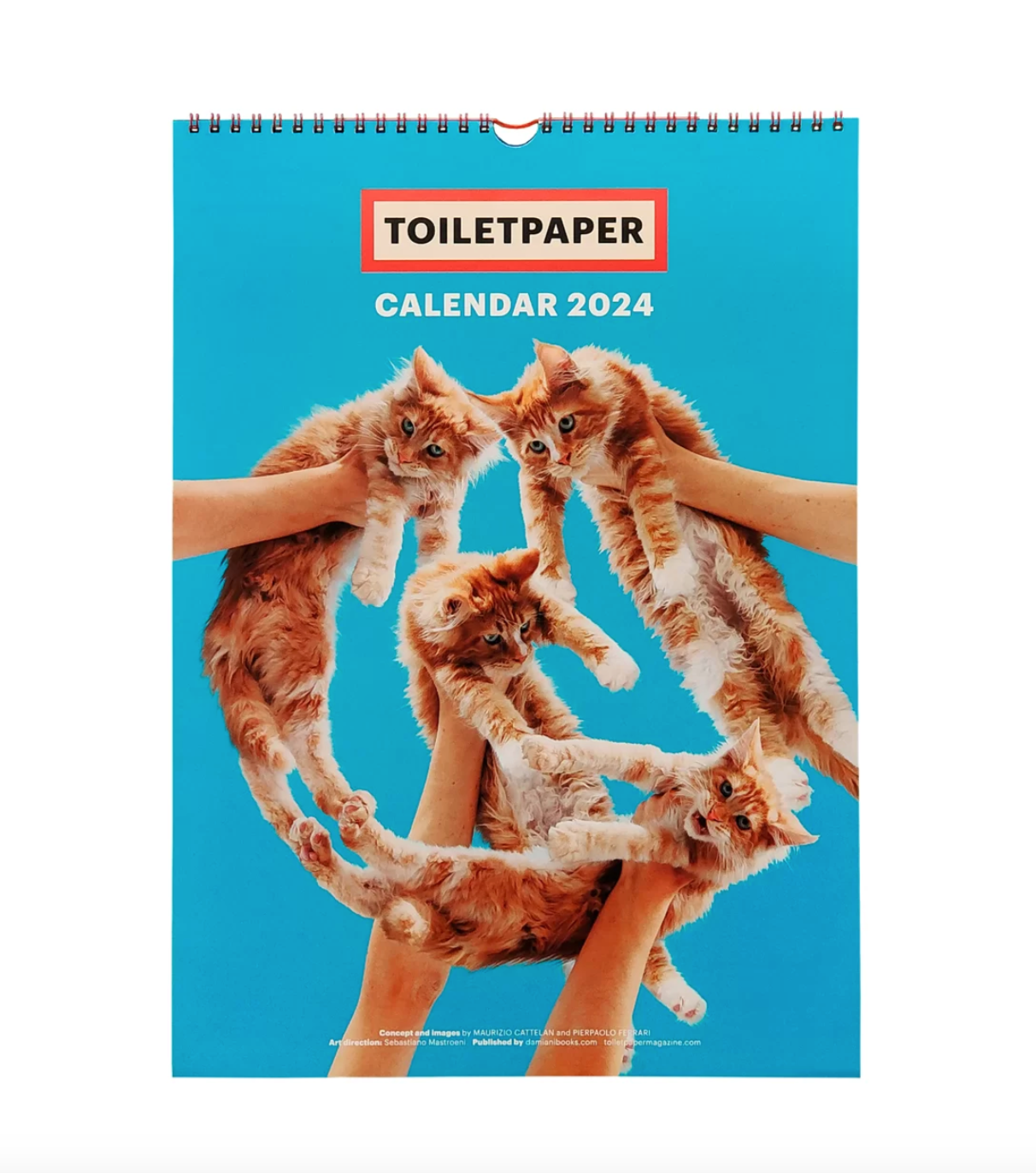 TOILETPAPER CALENDAR 2024 Golden Mean