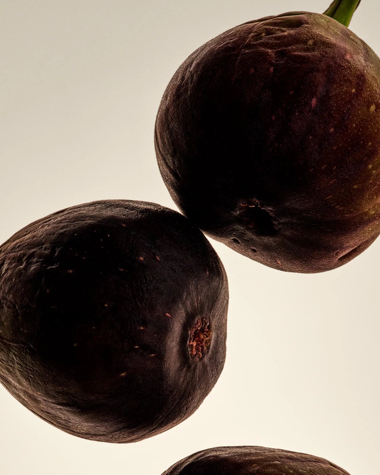 Cassis – Perfume Oil (Plum, Coconut, Fig, Sandalwood)
