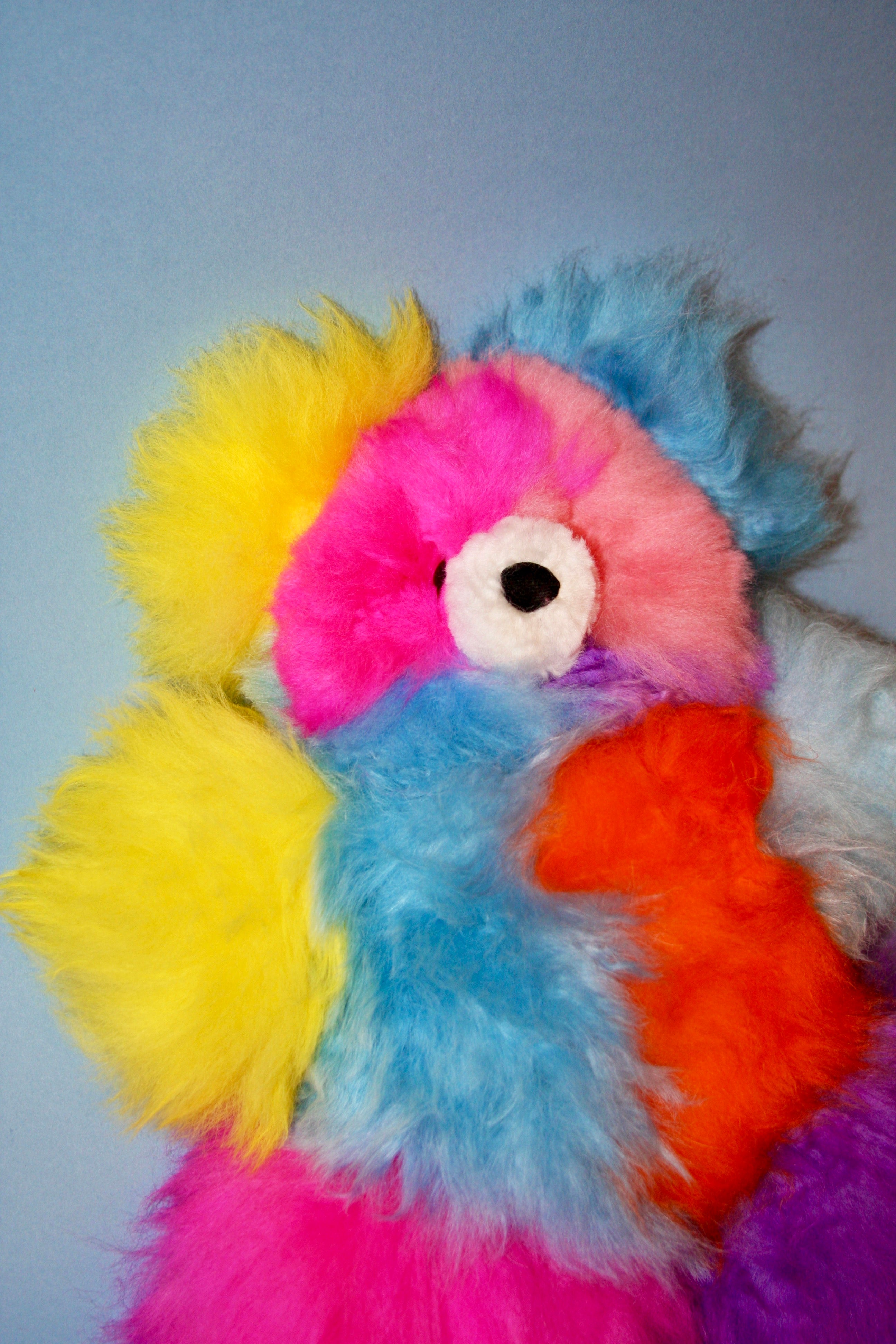 Limited Edition Rainbow Alpaca Bear