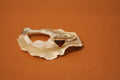 18k Gold/ 925 Silver Garnet Ring - Size 6.5