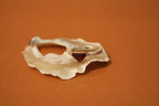 18k Gold/ 925 Silver Garnet Ring - Size 6.5