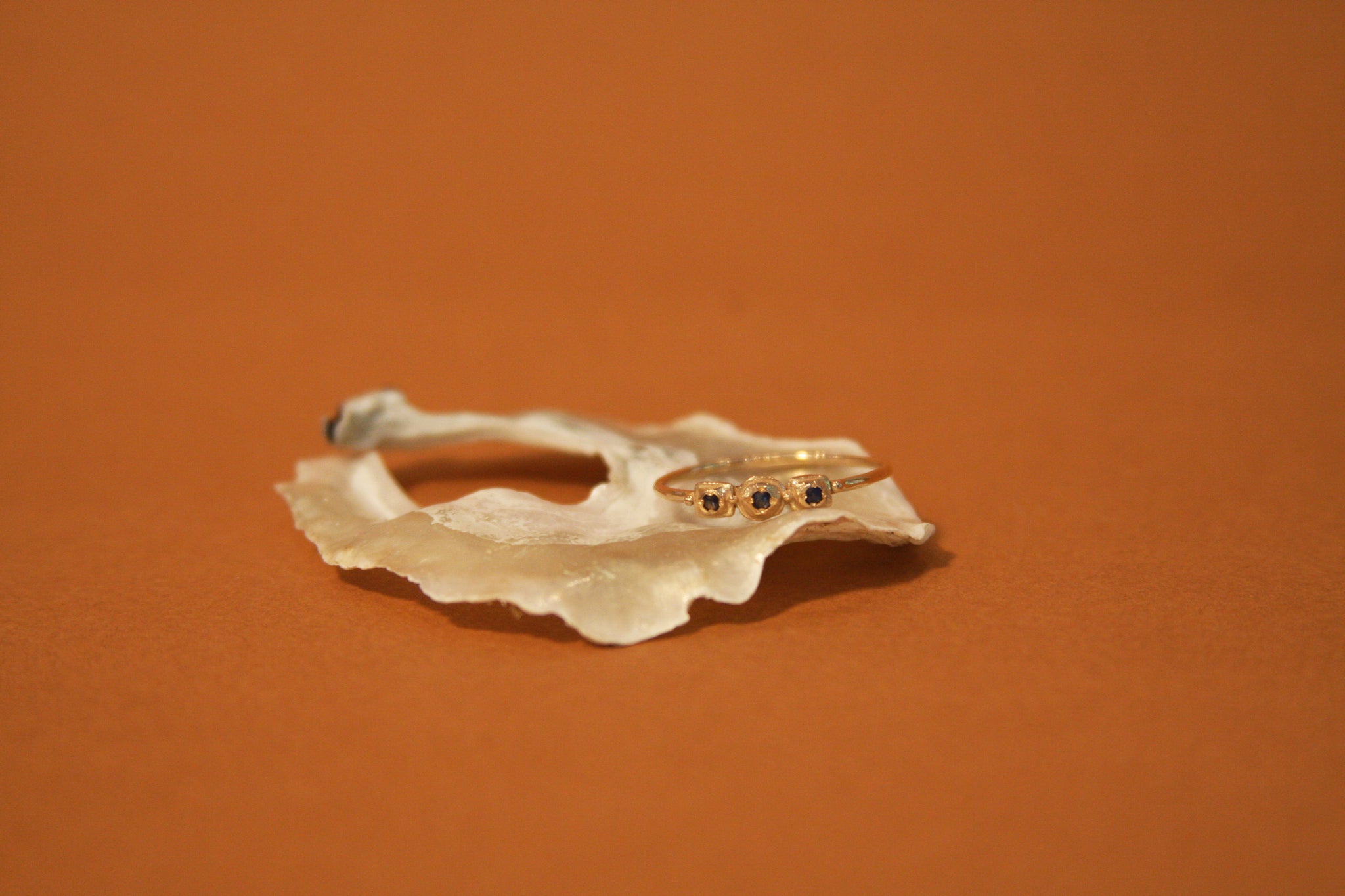 10k Gold Sapphire Ring - Size 8