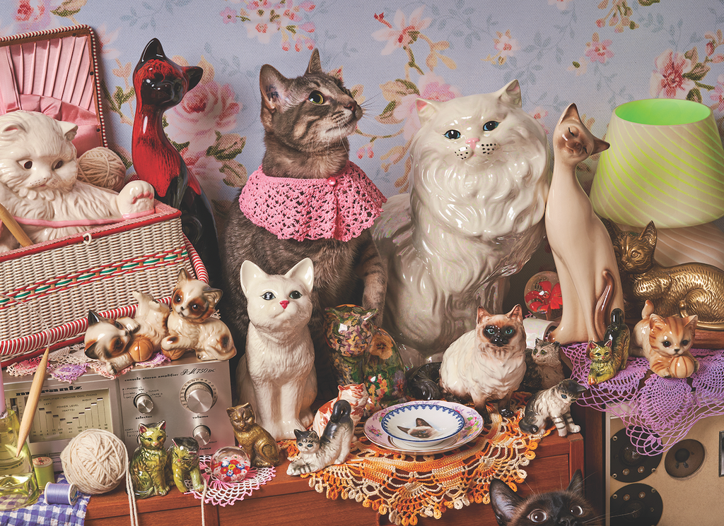 1000 Piece Puzzle - Cat Person